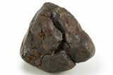 Whole Sericho Pallasite Meteorite ( g) - Kenya #302882-2